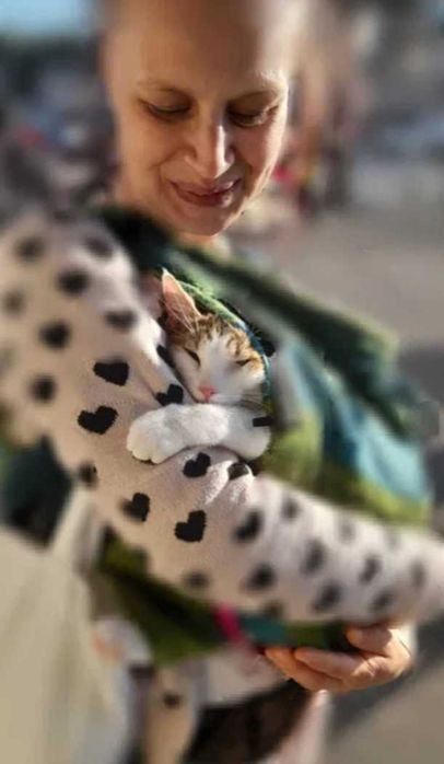 Îngrijire animăluțe - Grijă, iubire și vizite zilnice