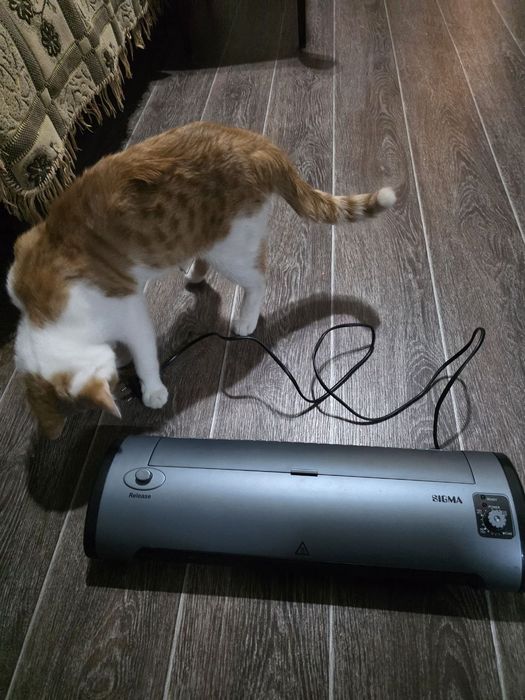 Продаём ламинатор Sigma