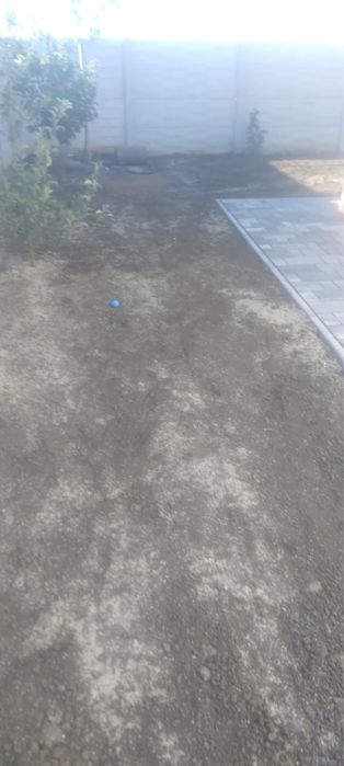 Gazon rulou calitatea 1