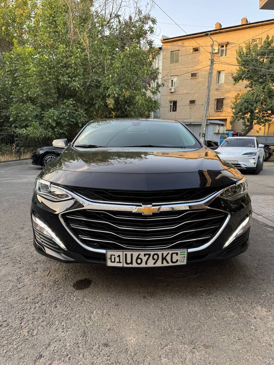 Malibu primer 2022   йил