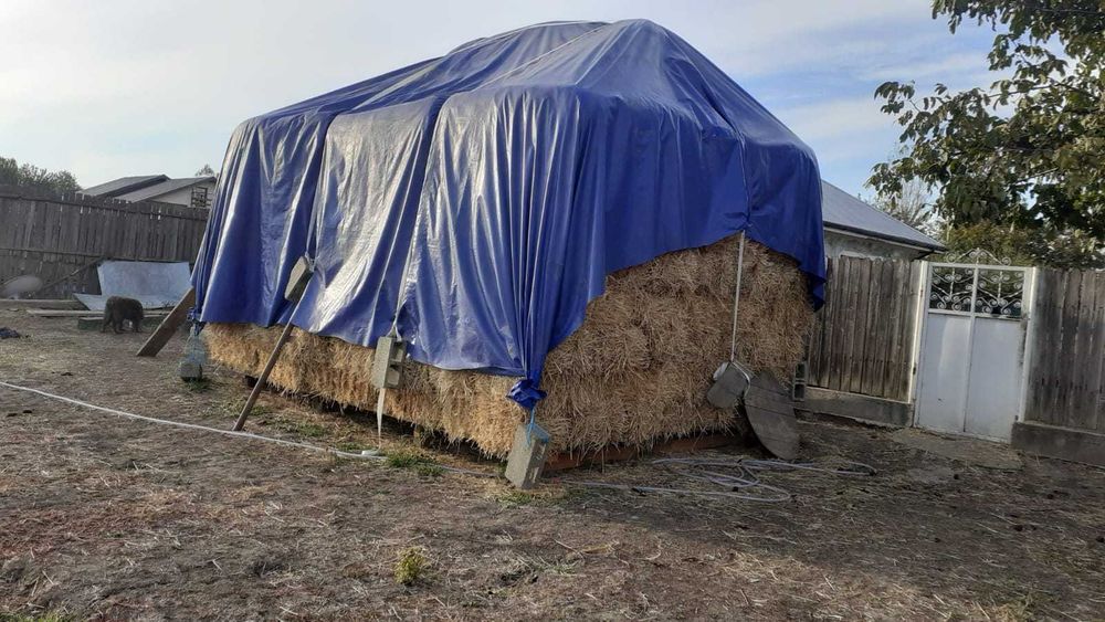 vand baloti dreptunghiulari din paie de grau ,uscati,aurii,asternut