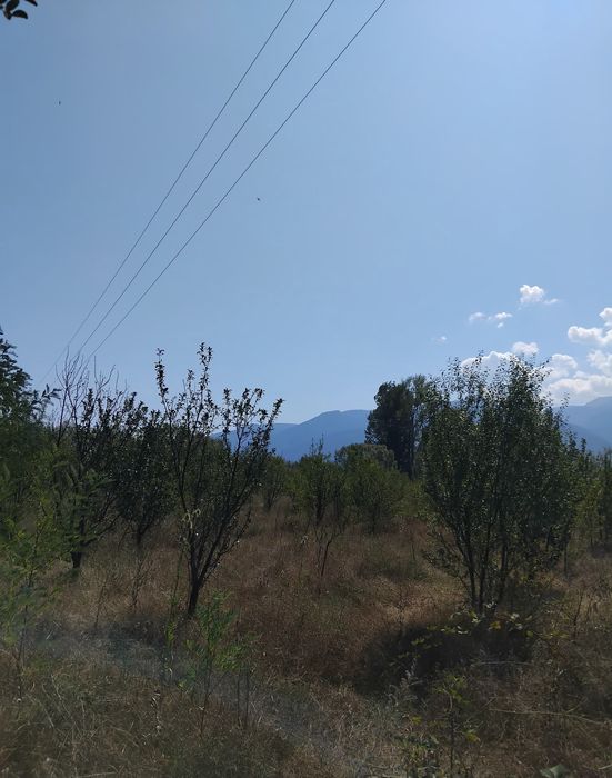 Продава се Парцел в Дупница - 2030 кв.м за 6 €/кв.м - Снимка #2
