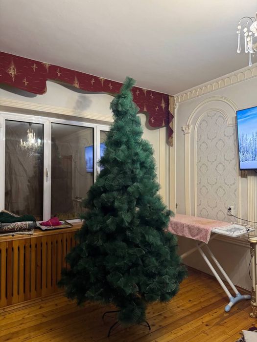 Archa, yangi yil archasi 2.50m