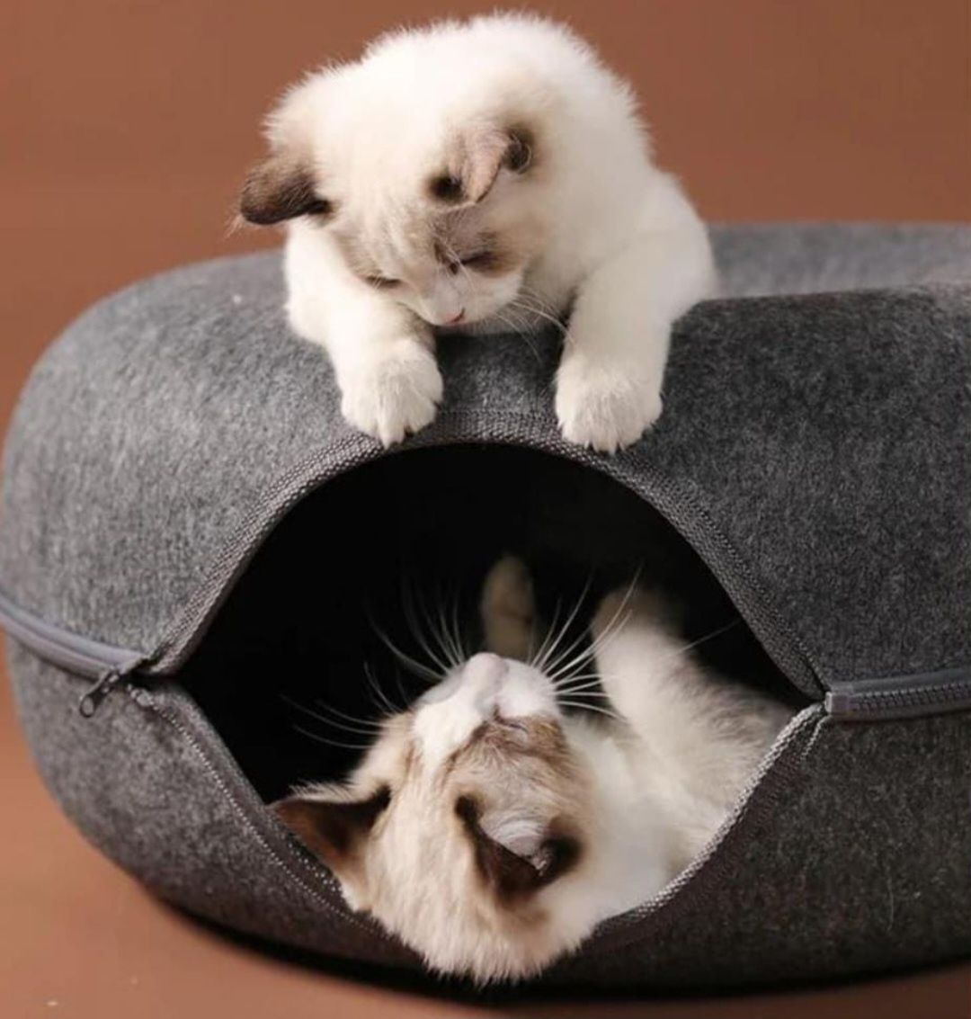 Culcus/tunel de joaca pentru pisica/pui de pisica nou