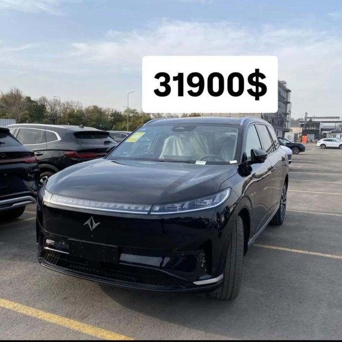 Donfen restayling oq qora ranglada bor