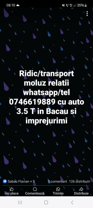 Ridic moluz mobila