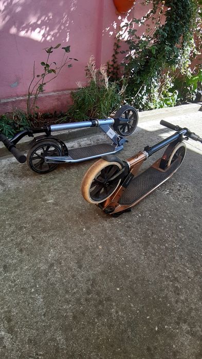 Trotineta maxim 100kg