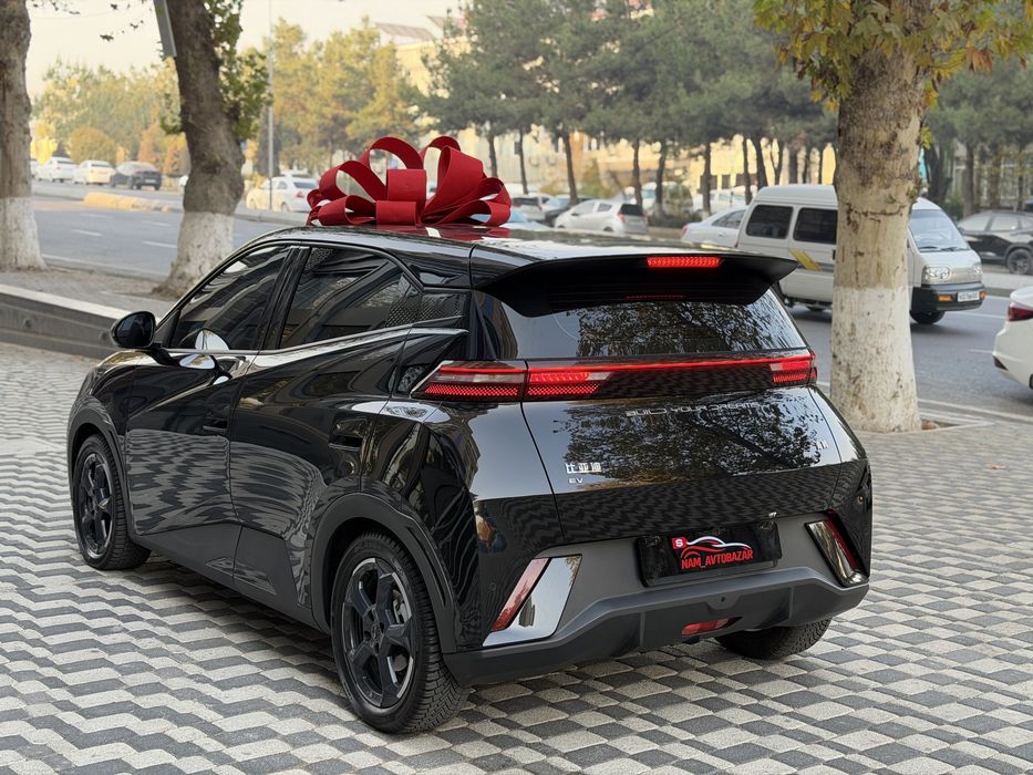 BYD seagull 405km Full