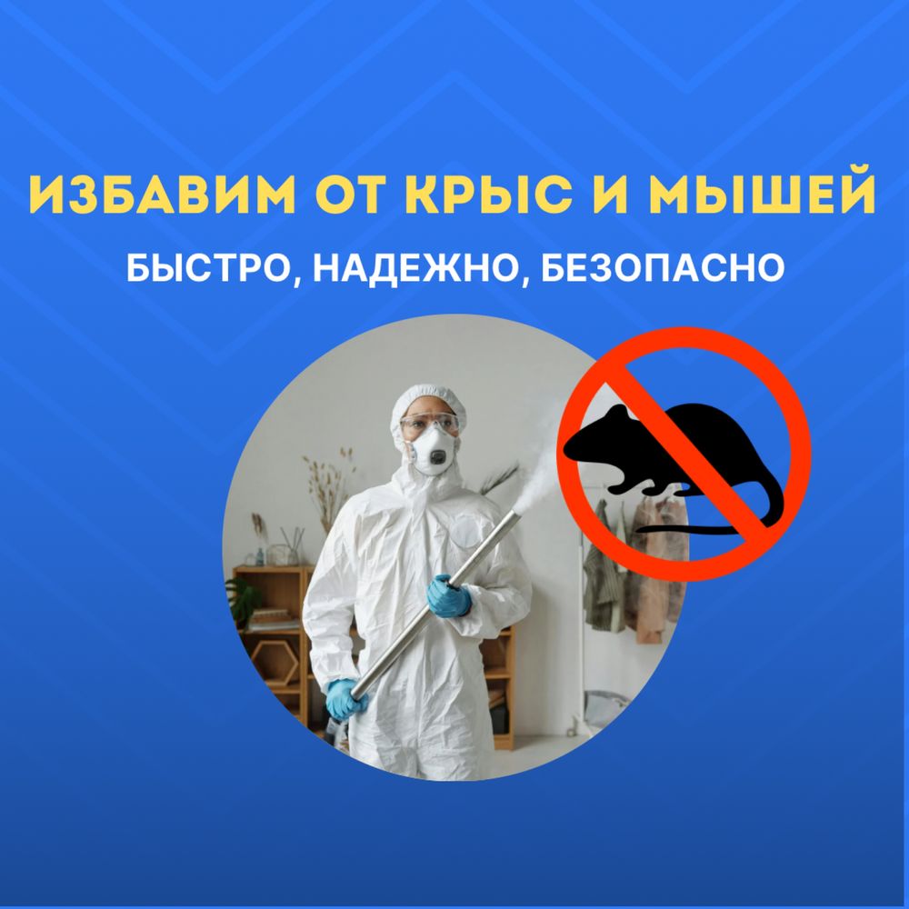 Дератизация: избавим от крыс и мышей — быстро, надёжно, доступно!
