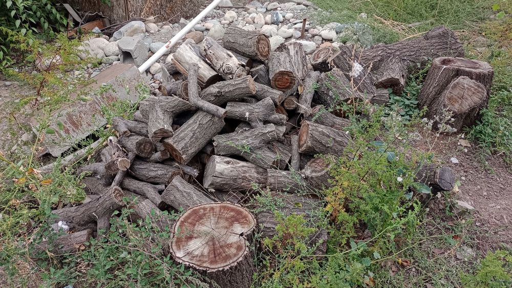 Дрова примерно один куб