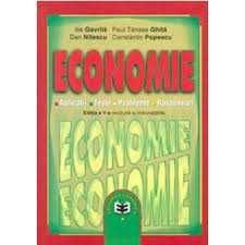 Meditatii economie pt. BAC si admitere facultate