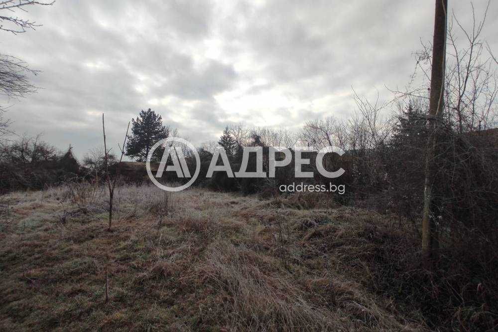 Продава се Гараж / Паркомясто в Разград, Център - 2300 кв.м за 10 €/кв.м - Снимка #1