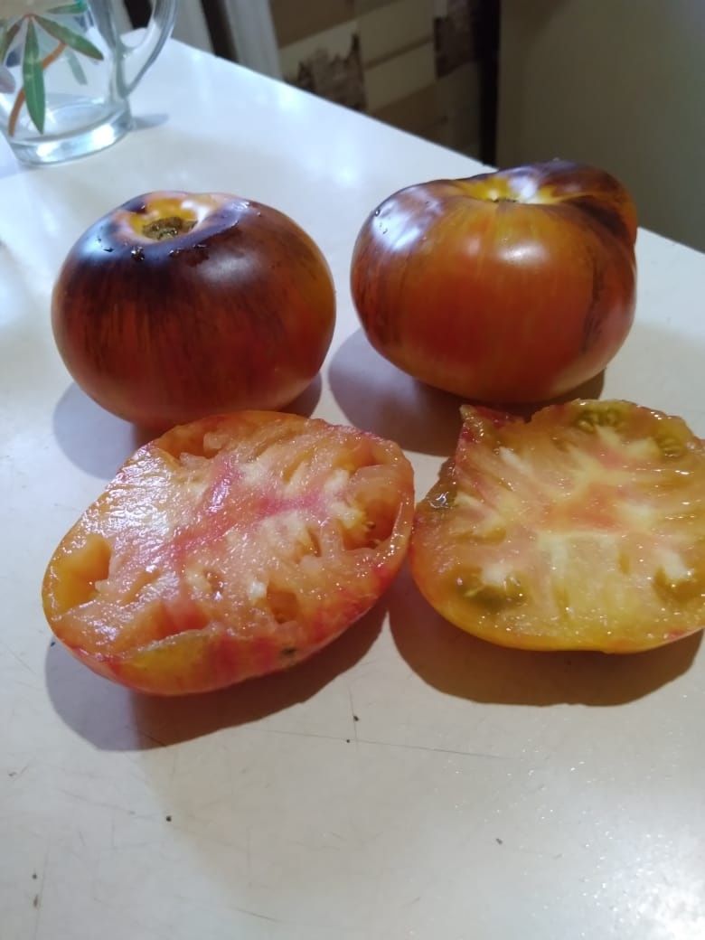 Колекционные семена томатов