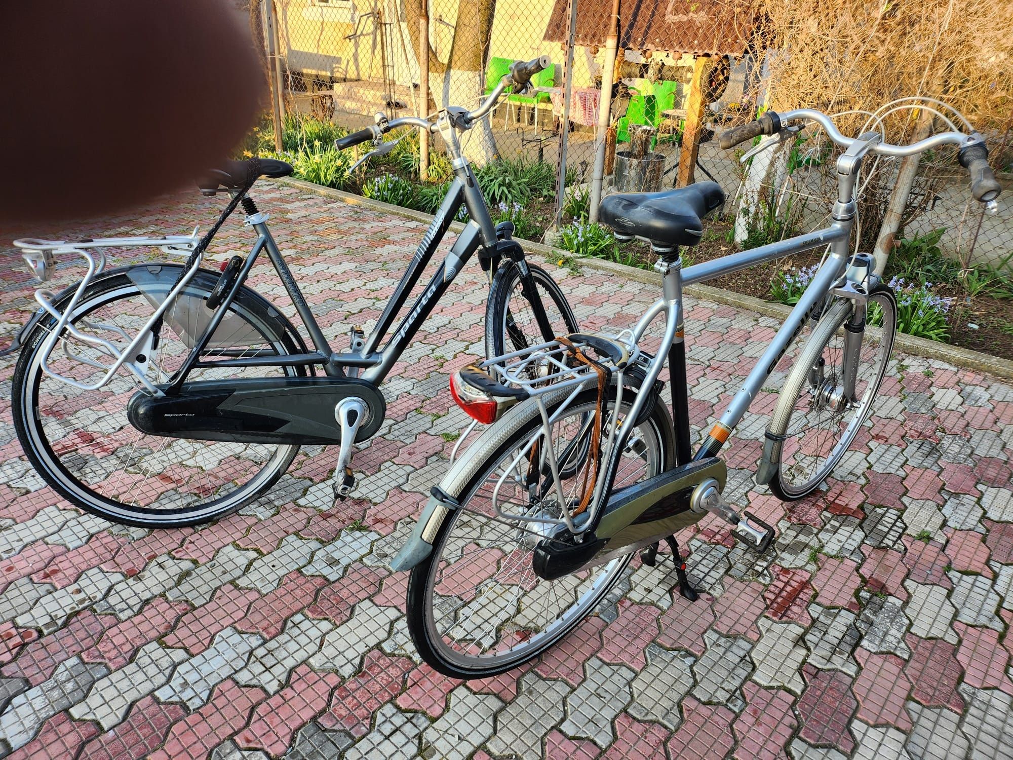 Biciclete adulți