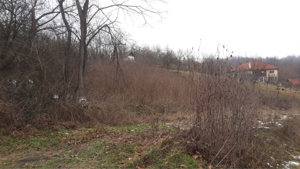 Teren de vanzare langa izvor 1500 Mp intravilan
