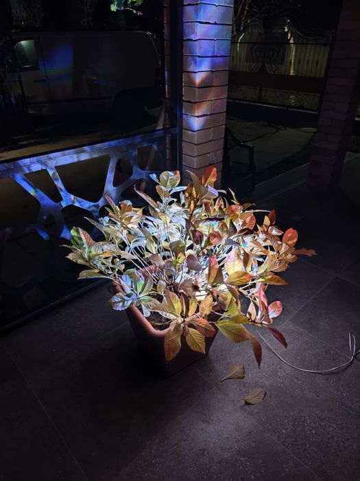 Proiector RGB IP66 ,10W,