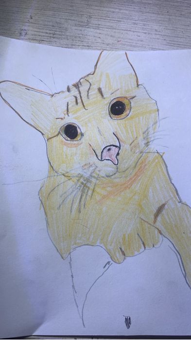 Нарисую вашего питомца