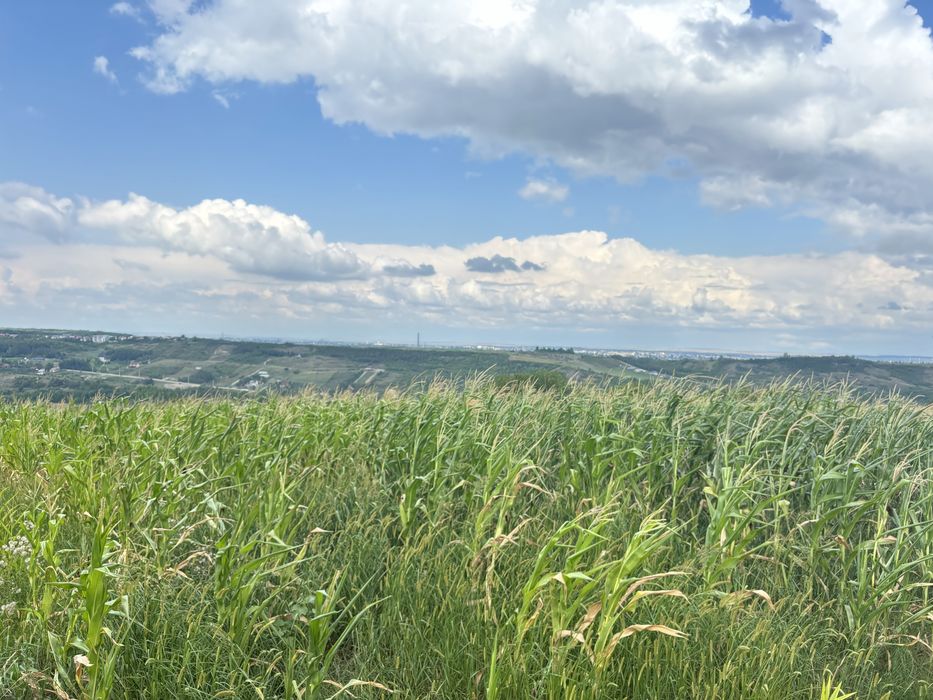 Teren în Agafton potențial investiție lângă șoseaua ocolitoare.