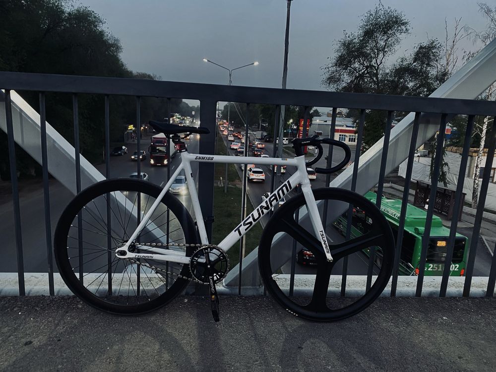 Fixed gear tsunami snm100