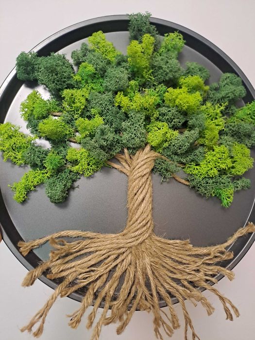 Tablouri cu licheni naturali stabilizati