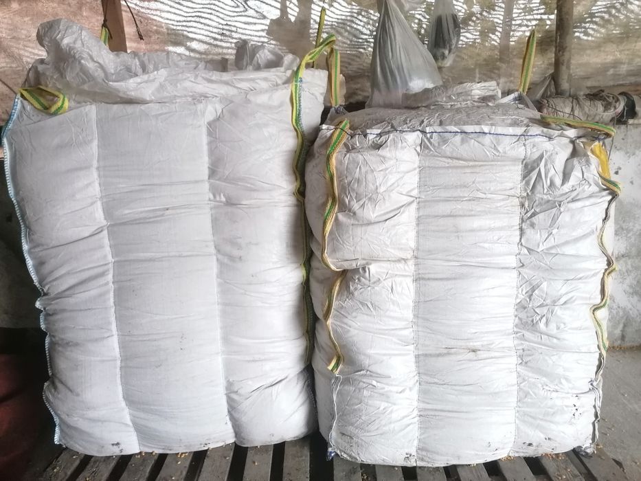 Porumb boabe de vânzare