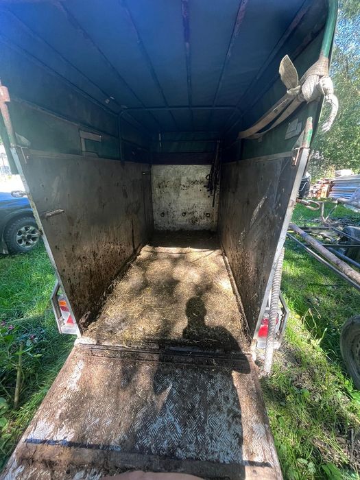Vând remorcă transport animale