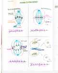 Notite admitere medicina - biologie