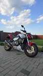 Honda Hornet CB600FA PC41 custom