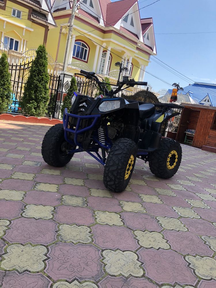 atv kxd placuta cazuta