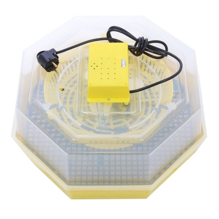 Incubator Cleo 5