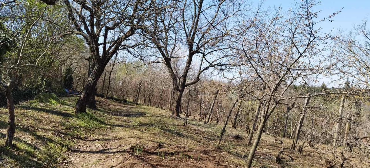 Продава се Парцел в Русе, Родина 3 - 506 кв.м за 11 €/кв.м - Снимка #8