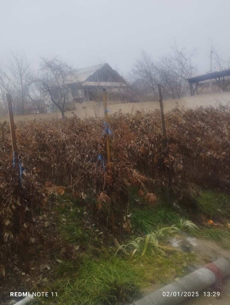 Xovli uy sotiladi 10 Sotix yiliga 3000 $ daromi bor