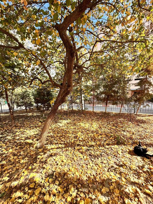 Срочно 2в3 Квартира на Кадышева с огородом