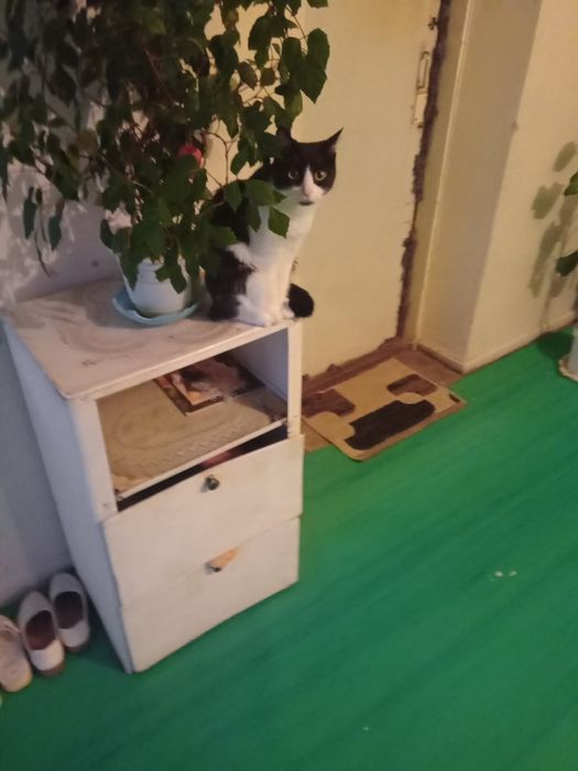 Продам комнату с мебелью в охраняемом помещении