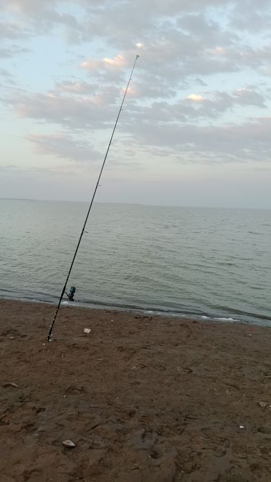 Stalker 3.90 .катушка кадензо 8000.