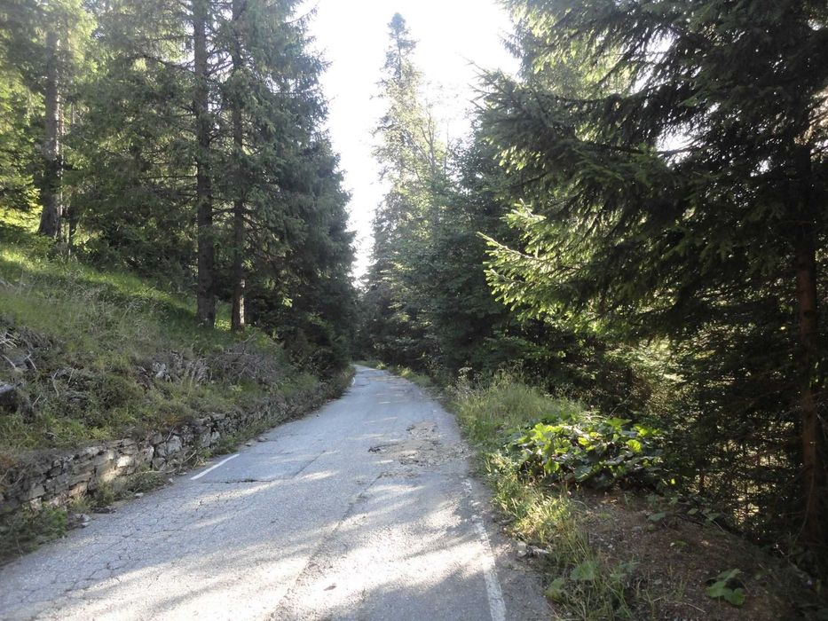 Уроци по Математика Пловдив