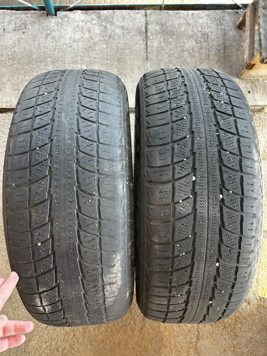 Зимние шины Triangle 215/60 R16