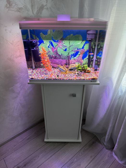Acvariu  Boyu incorporat cu comoda