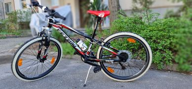 Велосипед Ferrini Ride 24