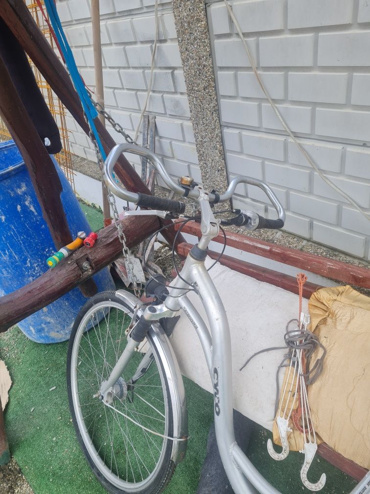 Bicicleta de damă