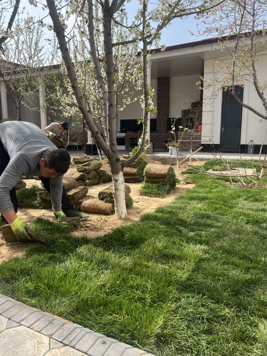 Gazon o’pto’m ranglari chotki abyomda bor
