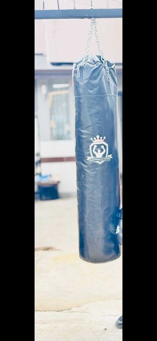 Боксова круша пршфисионална