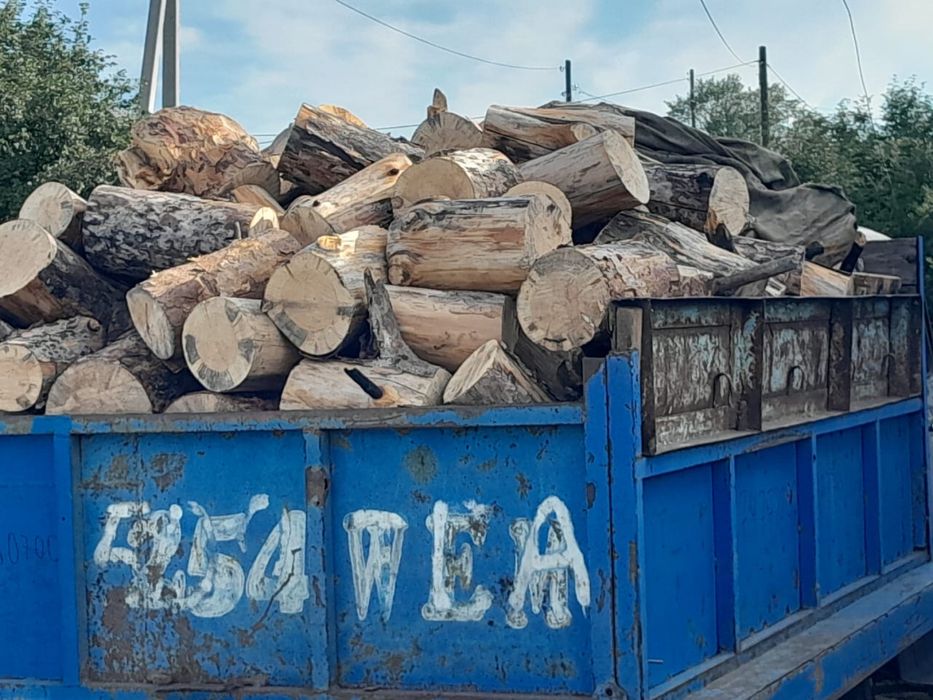 Продам дрова  сухой