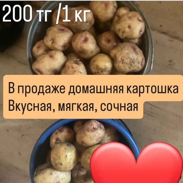 Картошка домашняя, Вкусная, сочная, мягкая