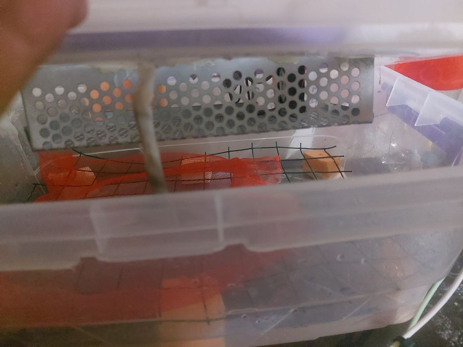 Inkubator, Pol avtomat