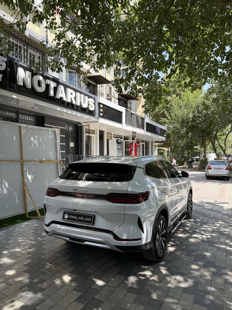 Byd chempion gibrit full