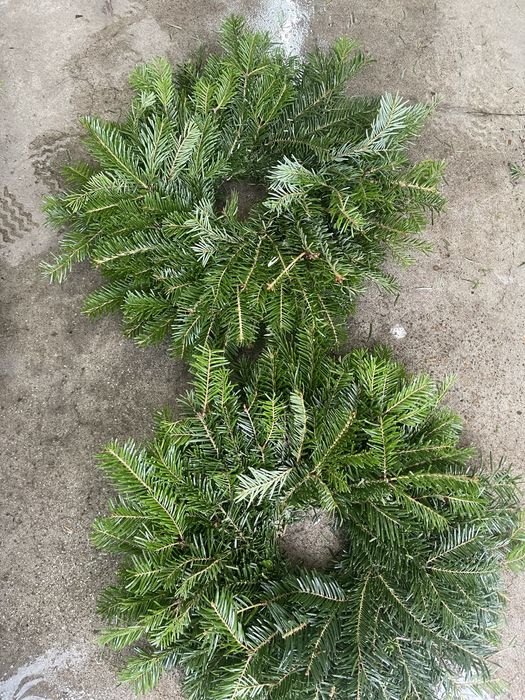 Coronita brad natural