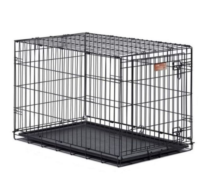 Клетка вольер железная выставка