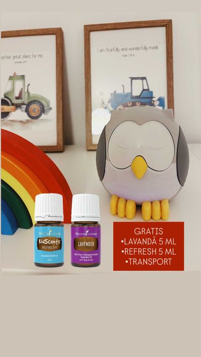 GRATIS Lavanda si Refresh Difuzor cu lampa de veghe si sunet alb YL