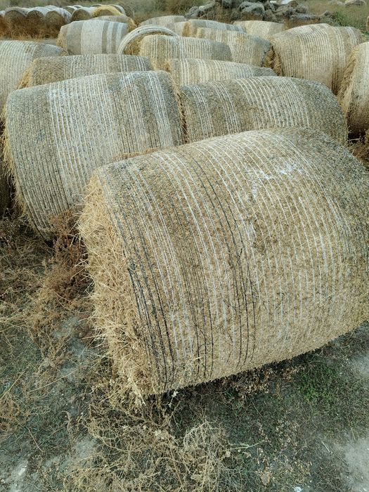 Vand baloti de lucerna